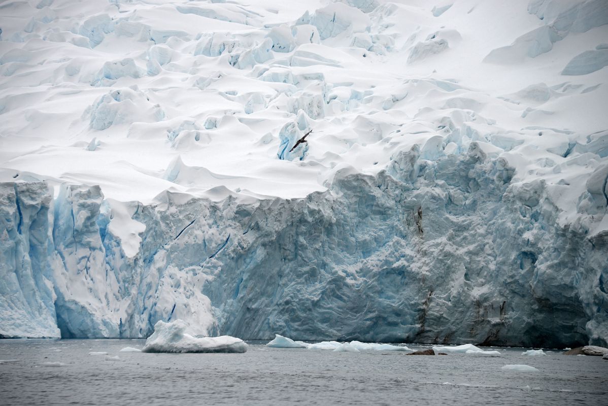 03B The Enormous Face of The Glacier At Neko Harbour On Quark Expeditions Antarctica Cruise